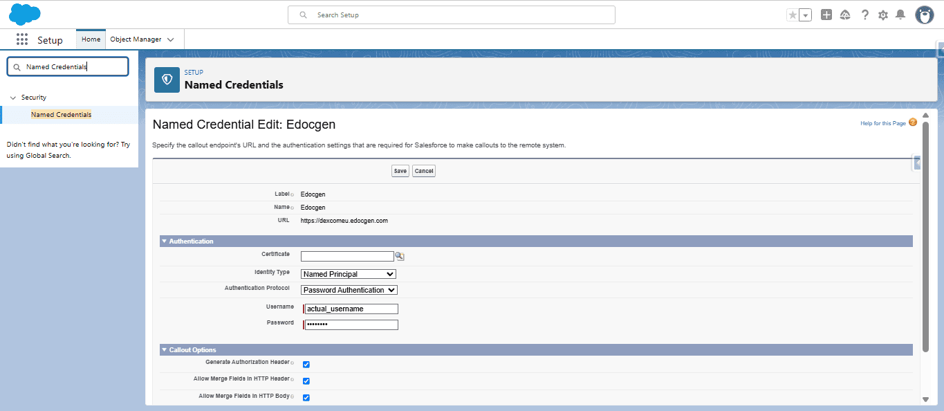 Updating Named Credential Configuration